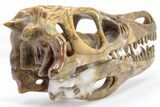 Carved Pietersite and Quartz Crystal Dinosaur Skull #199472-5